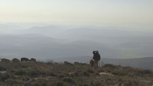 In The Desert - A Documentary Diptych